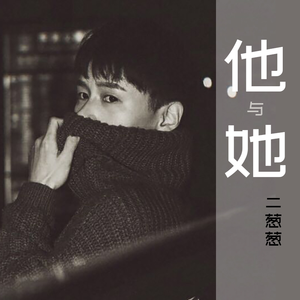 董卿被躁得嗷嗷叫
