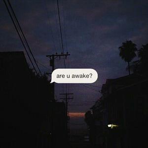 董卿被躁得嗷嗷叫
