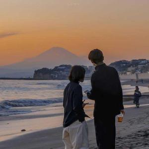 董卿被躁得嗷嗷叫
