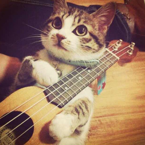 董卿被躁得嗷嗷叫
