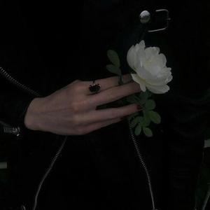 董卿被躁得嗷嗷叫
