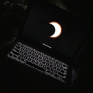 董卿被躁得嗷嗷叫
